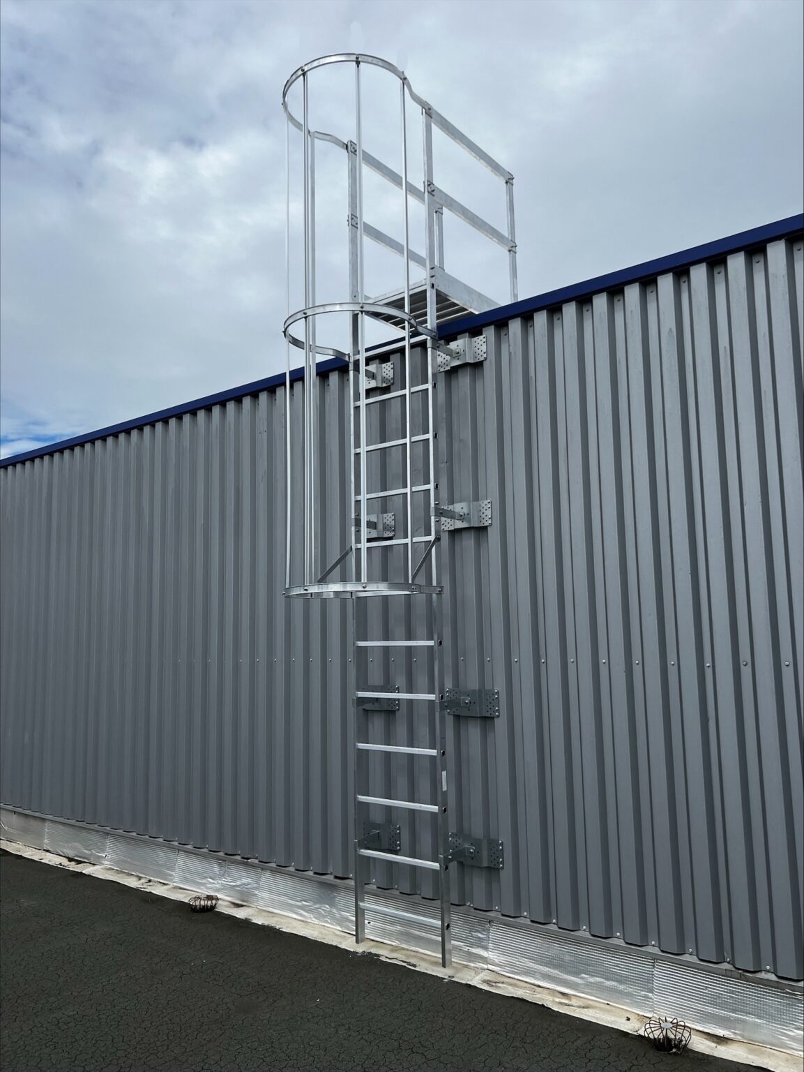 Vertical Fixed Ladder With Safety Cage | Installation | Safety at Height